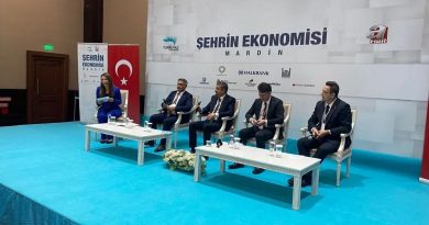 Here is the rewritten text in Turkish: Başlık: Mardin, Ekonomisinin