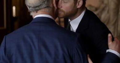 Başlık: Prens Harry, Babası Kral Charles'la Aylar Sonra Görüşme Açıklaması: