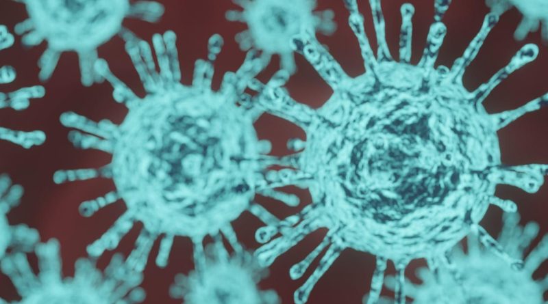 Here is the rewritten text in Turkish: Başlık: Covid-19: Ölümcül