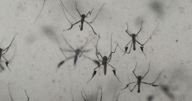 Here is the rewritten text in Turkish, with a maximum