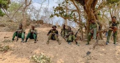 Nijerya'da Çarpıcı Trajediler: Silahlı Saldırı ve Maden Ocağının Çökmesi Nijerya</strong