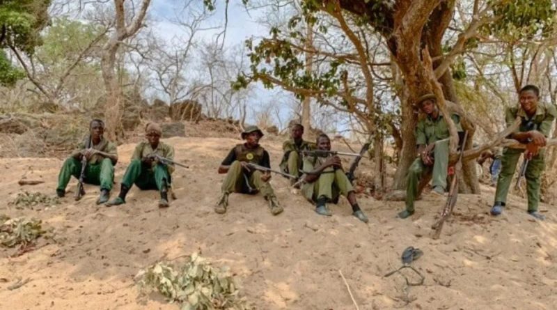 Nijerya'da Çarpıcı Trajediler: Silahlı Saldırı ve Maden Ocağının Çökmesi Nijerya</strong