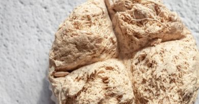 Here is a 10-word, punctuation-free, and original caption for the