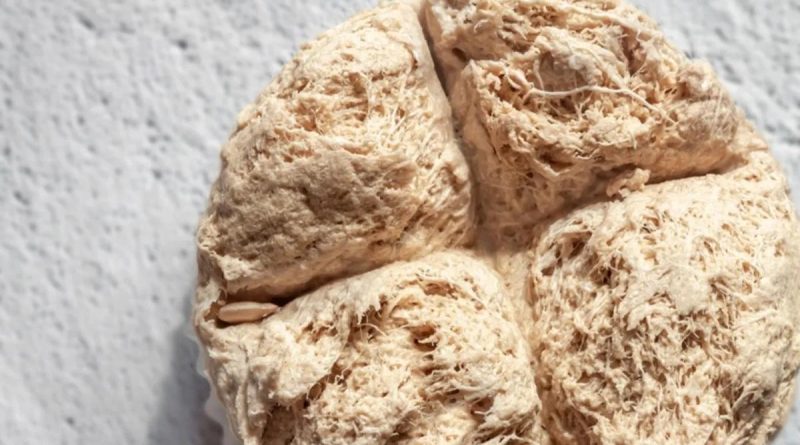 Here is a 10-word, punctuation-free, and original caption for the