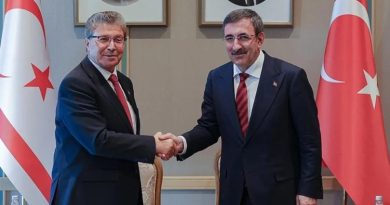 Başlık: Cumhurbaşkanı Yardımcısı Cevdet Yılmaz'la KKTC Başbakanı Ünal Üstel Görüştü
