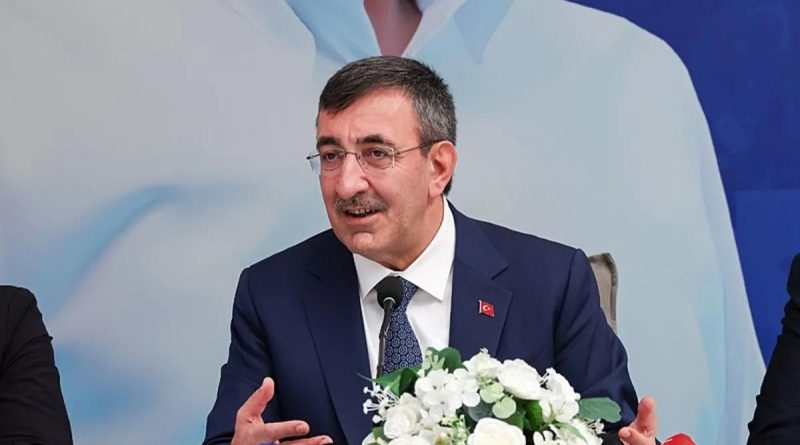 Here is the rewritten text in Turkish: Başlık: Cumhurbaşkanı Yardımcısı