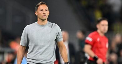 Tedesco'nun Zamana İhtiyacı Var Futbol Kariyeri Mehmet Topal, Fenerbahçe formasını