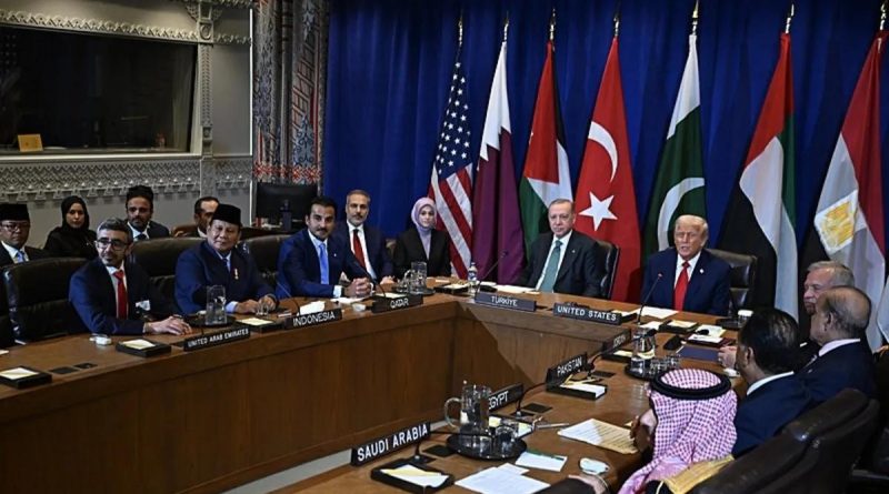 Başlık: Erdoğan ve Trump, Dünya Liderleri Birleşmiş Milletler'de Gazze Konulu