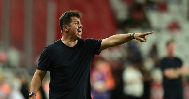 Sadece TÜRKÇE üret