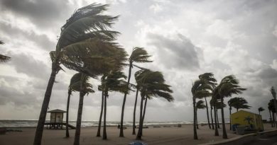 Here is the requested content in Turkish: Başlık: Rüzgar Çeşitleri