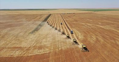 Tarım-GFE, Temmuzda Yıllık Bazda Yüzde 34,22, Aylık Bazda Yüzde 3,68