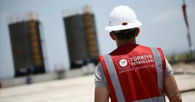 Here is the rewritten text in Turkish: Başlık: TPAO ve