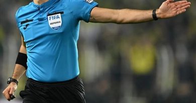 Sadece TÜRKÇE üret