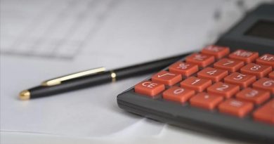 TÜİK Açıkladı: 2024'te 21 Bini Aşkın Mali Aracı Kuruluş Faaliyet