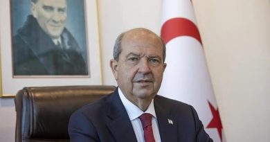 Sadece TÜRKÇE üret