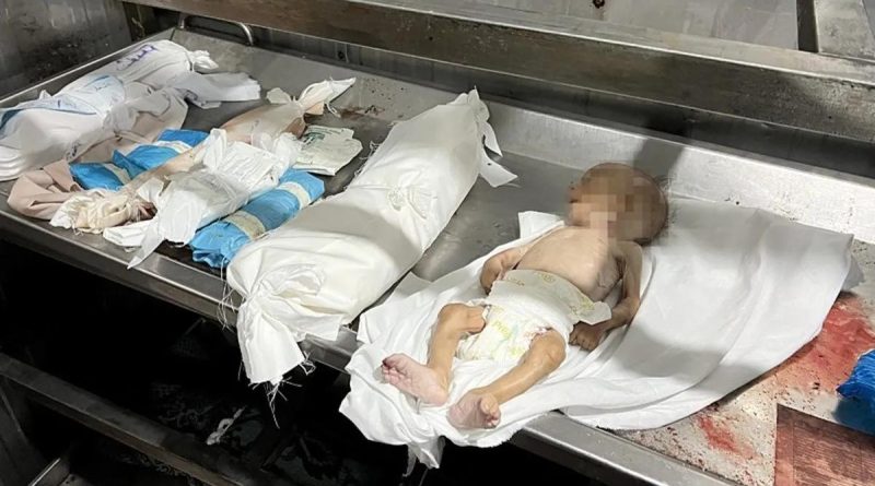 Gazze'de Ölümden Ölüme Koşuyoruz: İsrail'in Barbarlığı Artıyor Gazze'deki Mülte