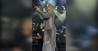 Gülşen Sınırları Zorladı: Sosyal Medya İkiye Bölündü Gülşen'in Transparan Sahne