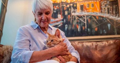 Here is the rewritten text in Turkish: Başlık: Kedi ve