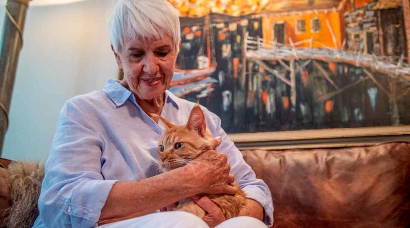 Here is the rewritten text in Turkish: Başlık: Kedi ve