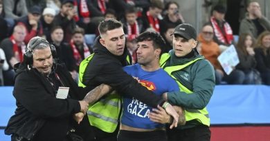 Here is the requested Turkish content: Norveç Taraftarı Sahaya Atladı: