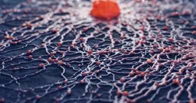 Genetik Testler Kanser Tedavisinde Giderek Önem Kazanıyor Tıbbi Onkoloji Uzmanı