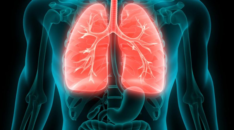 Sigarayı Bırakmak: 6 Pratik Öneri Sigaranın Zararlarını Sigara, akciğerler üzerinde