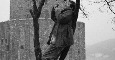 Tabutta Rövaşata Filminin İzinsiz Kullanımı Davasında Karar Açıklandı Tabutta Rövaşata