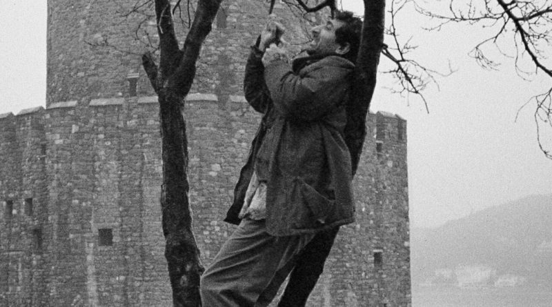 Tabutta Rövaşata Filminin İzinsiz Kullanımı Davasında Karar Açıklandı Tabutta Rövaşata