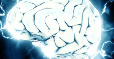 Here is the rewritten text in Turkish: Başlık: Beyin Çipi