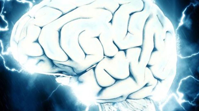 Here is the rewritten text in Turkish: Başlık: Beyin Çipi