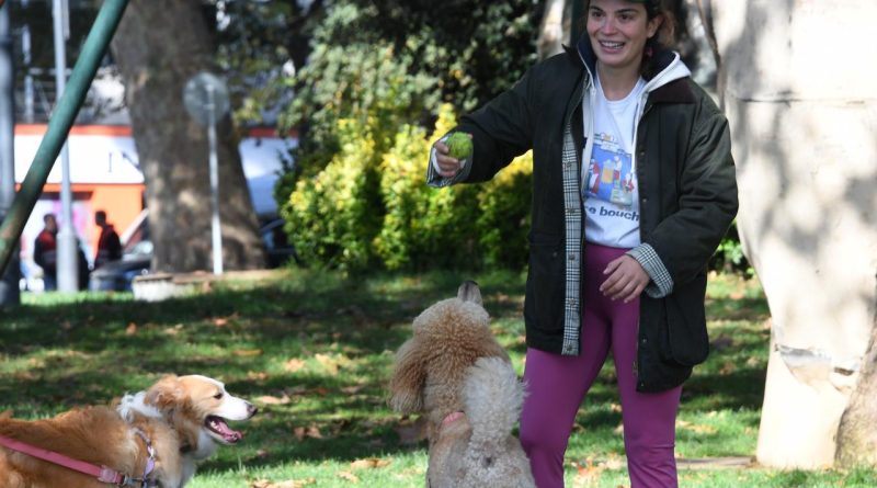 Aslı Bekiroğlu, Köpekleriyle Objektiflere Yansıdı Ünlü Oyuncu Aslı Bekiroğlu, Be