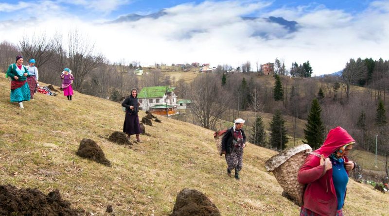 Here is the rewritten text in Turkish: Başlık: Karadeniz'in Nemindeki