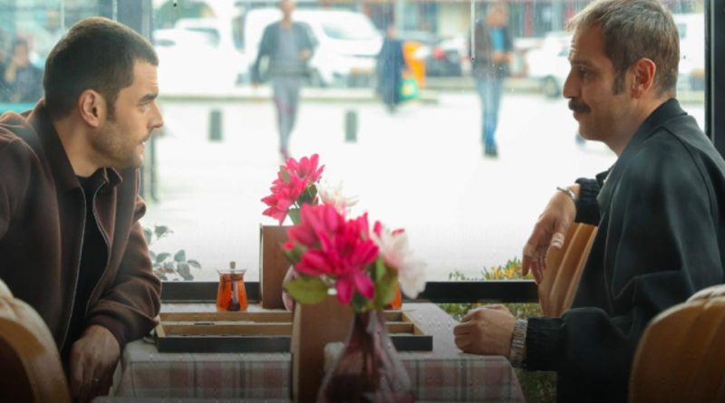 Velihaht, Zirvesinde: 7