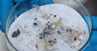 Mikroplastik Alarmı: Tek Kullanımlık Şişeler Vücuda On Binlerce Parçacık Taşıyor