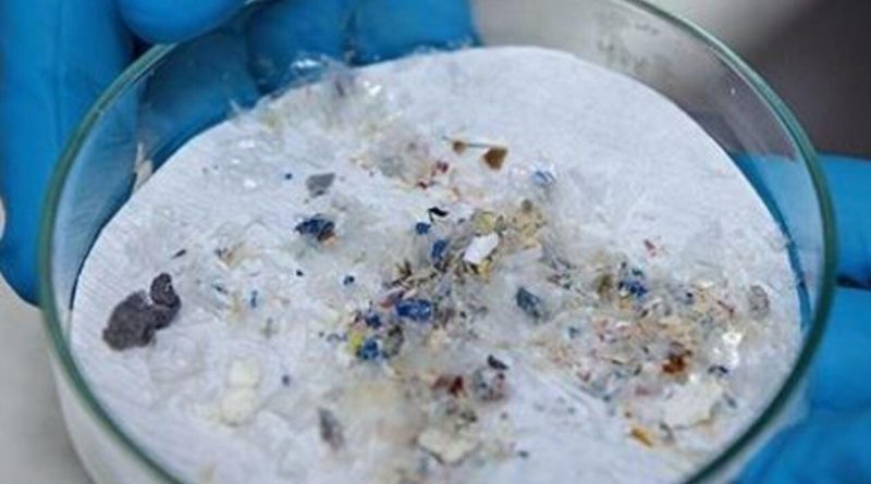Mikroplastik Alarmı: Tek Kullanımlık Şişeler Vücuda On Binlerce Parçacık Taşıyor
