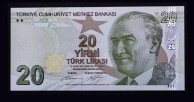Merkez Bankası Açıkladı: Yeni 20 Liralardan Tedavüle Giriş Türk Lirası