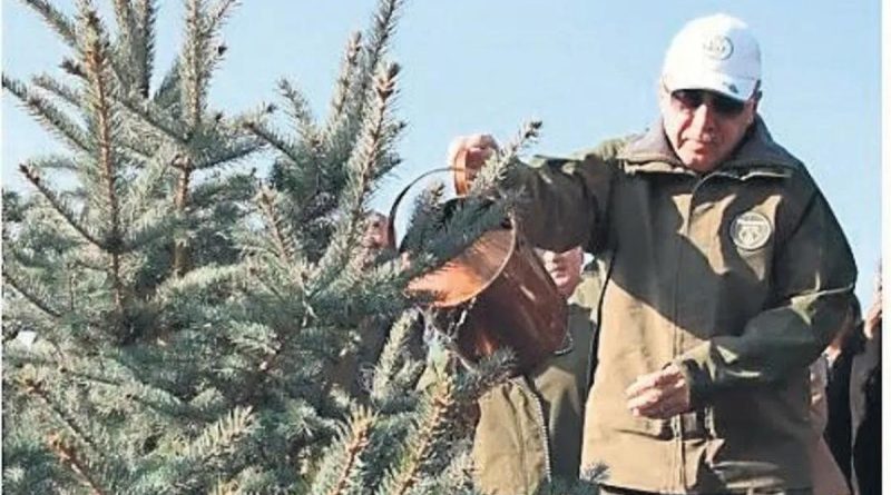 Here is the rewritten content in Turkish, without punctuation and