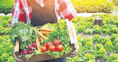 Here is the rewritten text in Turkish: Başlık: Türkiye'nin Tarım