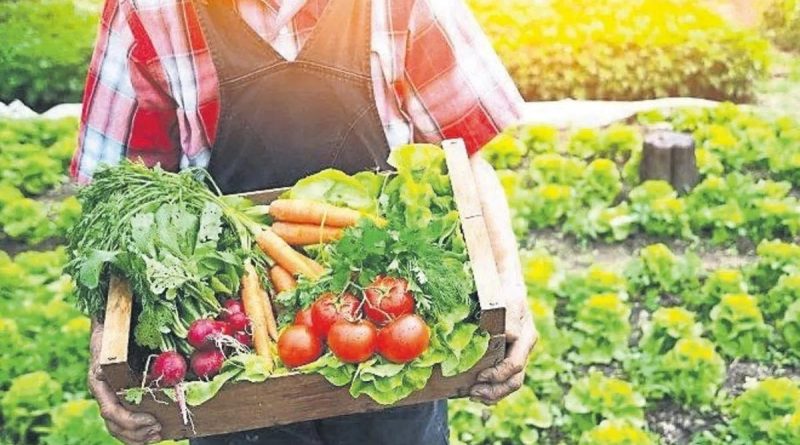 Here is the rewritten text in Turkish: Başlık: Türkiye'nin Tarım