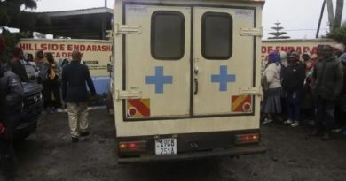 Başlık: Kenya'da Havacılık Faciası: Özel Uçak Yere Çakıldı! İçerik: Kenya'