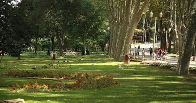 Here is a new content in Turkish: Başlık: Yeşil Alanlarda