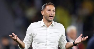 Here is the requested Turkish text: Fenerbahçe Teknik Direktörü Domenico