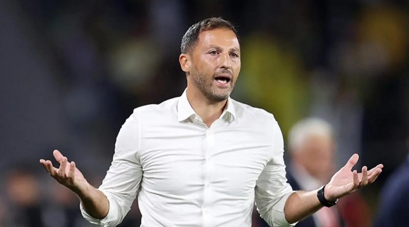 Here is the requested Turkish text: Fenerbahçe Teknik Direktörü Domenico