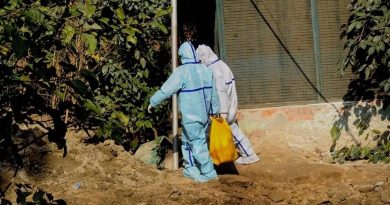 Japonya'da Kuş Gribi Paniği: Yüz Binlerce Tavuk Itlaf Edilecek Japonya'da