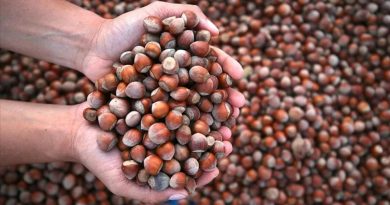 Here is the rewritten text in Turkish: Başlık: Fındık ihracatından