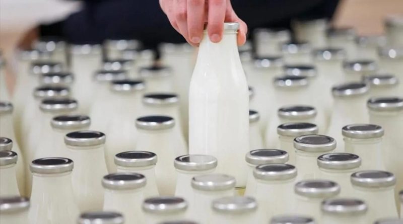 TÜİK Açıkladı: Ağustos'ta 933 Bin 234 Ton Süt Üretildi Türkiye'de