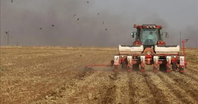 Tarım Sektörünün Fiyatları Yüzde 34,09 Arttı Tarım Sektörünün Fiyatları</