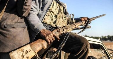 Nijerya'da Boko Haram'a Operasyon: 10 Terörist Öldürüldü Nijerya ordusundan yapılan