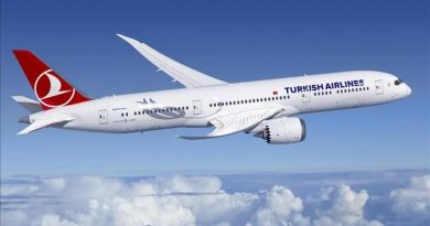 Cumhurbaşkanlığı Bayramı'na Özel THY Bilet Kampanyası Türk Hava Yolları, 29