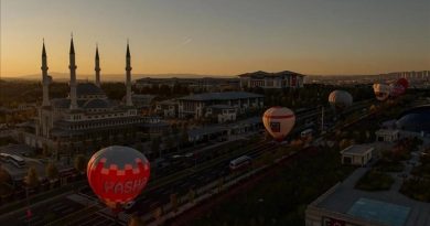 Here is a 10-word-long, punctuation-free, and original visual alt text